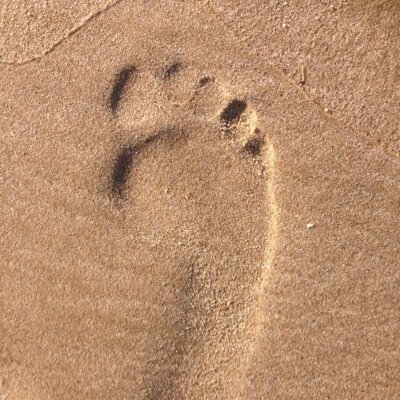 jvilladadoc's profile picture. 