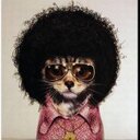 Brook Sutton - @bsuttonbass - Twitter