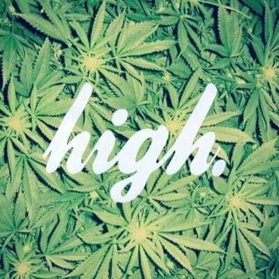 Stoners only follow me