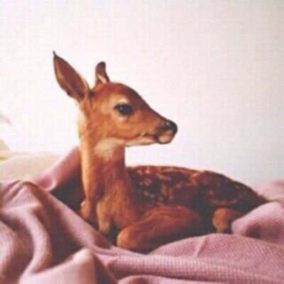 اللهم لاتدع لنا ذنبا الا غفرته ولا هما الا فرجته ♡ غصبن على خشم المواجع سهالات ♡