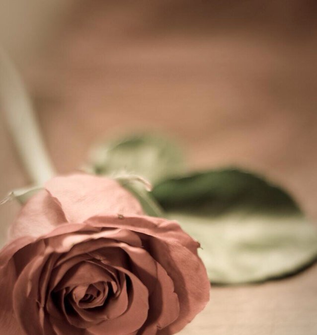 اعتذر!♡ لمن زل لساني عليہ يومآ دون ان انتبہ ..♡̷̷̷̷
