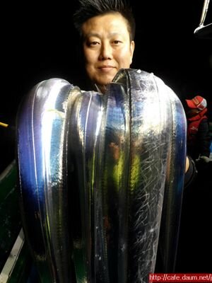 이제서야 세상을 조금씩 알고 배워가는 나~~
