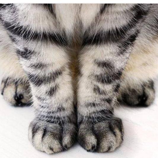 VHadzhiminev's profile picture. 