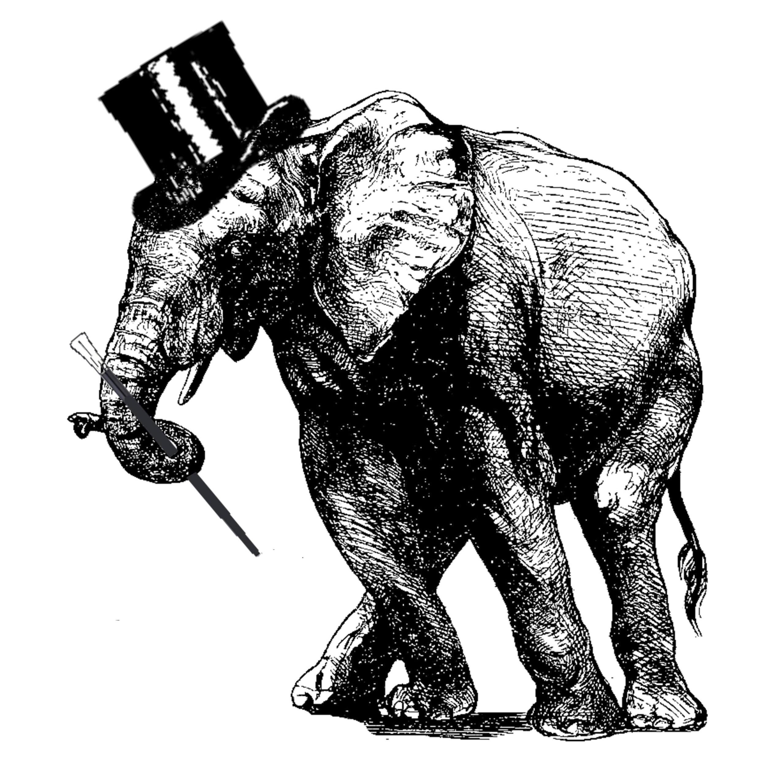 BrixtonChilliCo's profile picture. Hot Pepper Sauce Handmade in Small Batches in the Heart of Brixton.    ********COMING SOON********