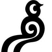 adolfonoo's profile picture. 