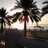 waleed151's profile image