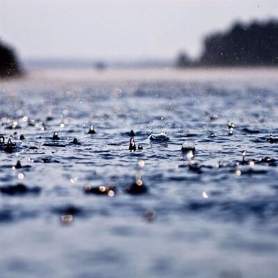 Bodimage's profile picture. 哈罗哈罗拉