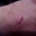 bobby driver - @bobbydriver343 - Twitter