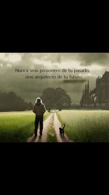 Consejos de tu vida y reflexiones. Síguenos, no te arrepentirás. Muy buenas frases.