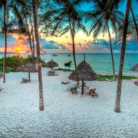 TurtleBayBeachClub (@turtlebaywatamu) 's Twitter Profile