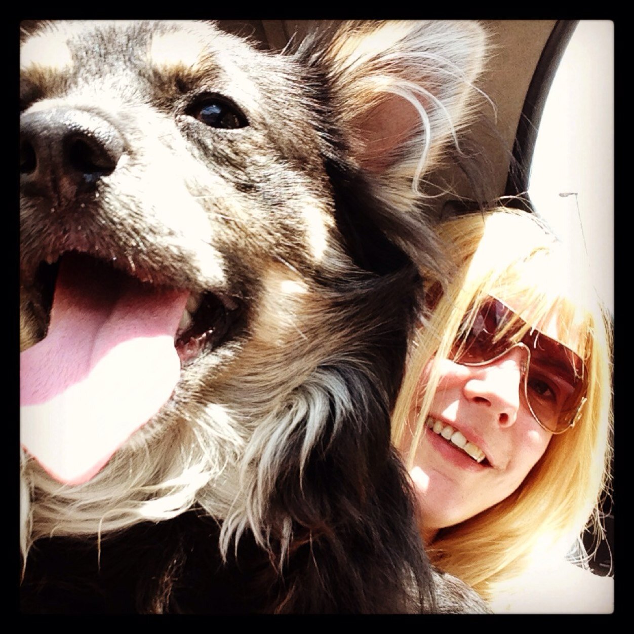 Leanne1241's profile picture. If the people in movies would have listened to me they would still be alive