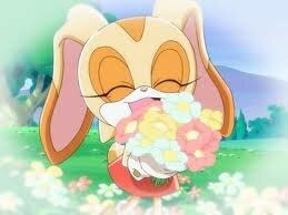 Hello everybody I'm Cream The Rabbit