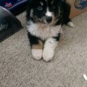 Darik Anderson - @darik2146 - Twitter