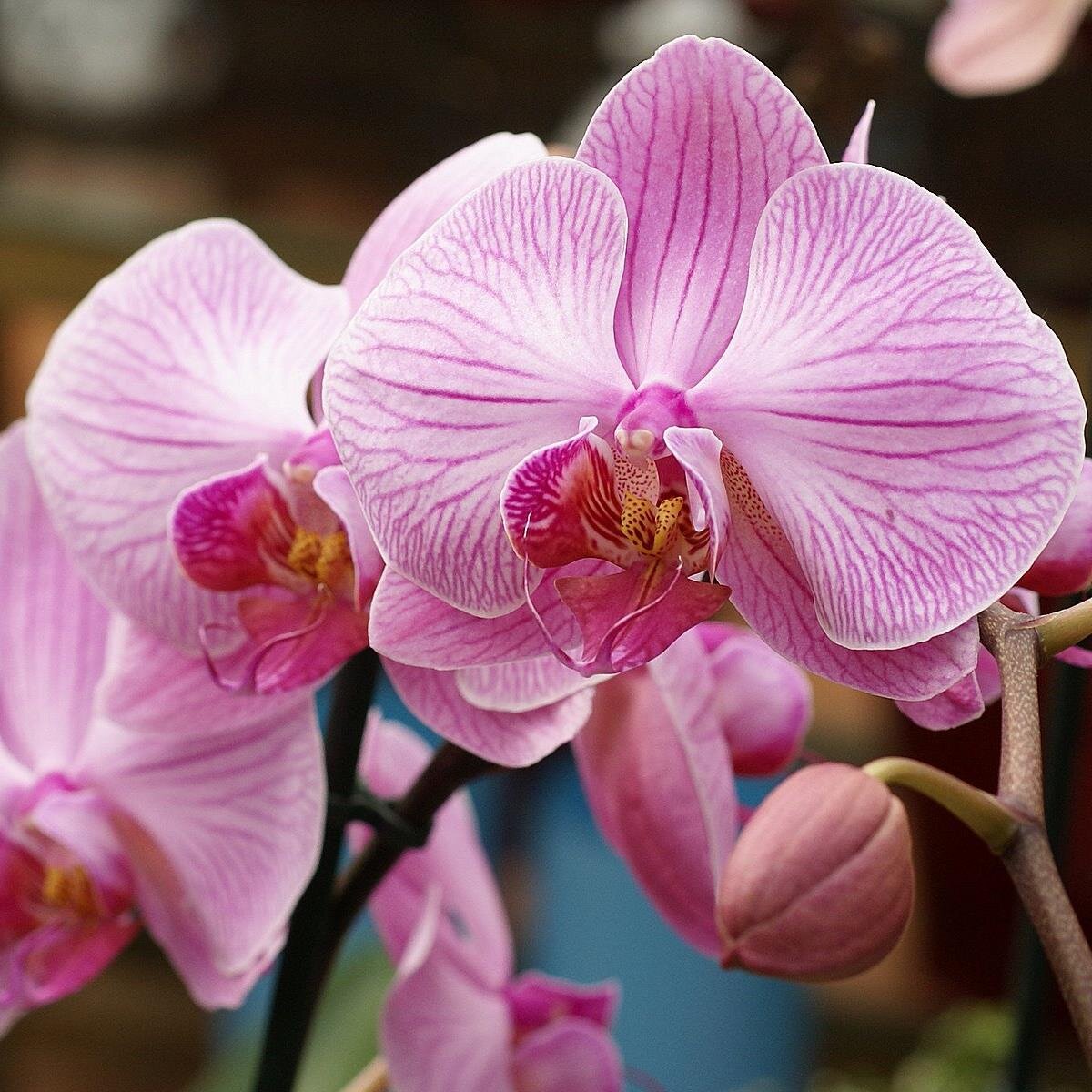 adelpozomate's profile picture. ¿Y si después es nunca? Carpe diem.