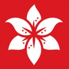 StargazerBarn's profile picture. 