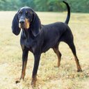 David Curington - @curington_david - Twitter