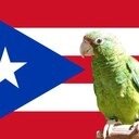 juanquiperez's profile picture. 