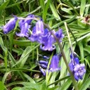 Yvette Walters - @craizy_daizy - Twitter