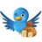 stageadbsrss6's profile image
