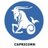 capricorn847's profile image