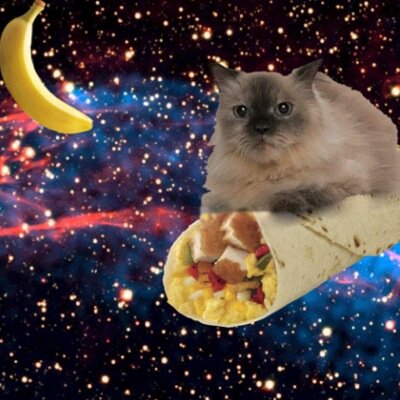 mixdddd's profile picture. 