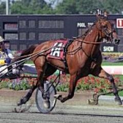 newmill11's profile picture. 