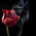Muneer Alghafri (@1d3078b0904949d) Twitter profile photo Muneer Alghafri (@1d3078b0904949d) Twitter profile photo