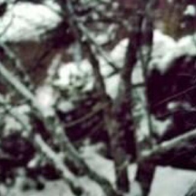 iamIeohoward's profile picture. 