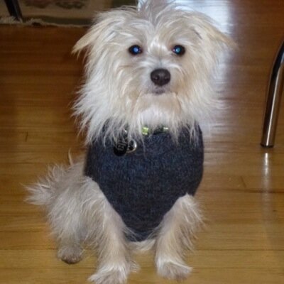 CeceHarrs's profile picture. 