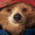 PADDINGTON France (@paddingtonfr) Twitter profile photo PADDINGTON France (@paddingtonfr) Twitter profile photo