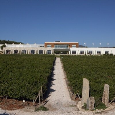 Urla Winery feels indebted to take the Karaburun Peninsula which was an essential winemaking centre in the past, to those fine days of history or even farther.