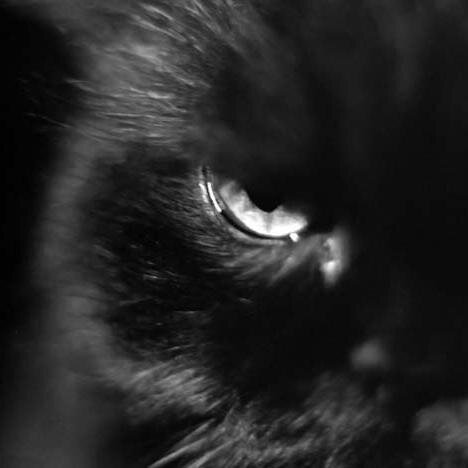 levfeld_one's profile picture. Возможно всё! На невозможное просто требуется больше времени…