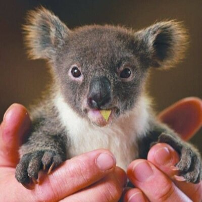 shiftworker70's profile picture. 