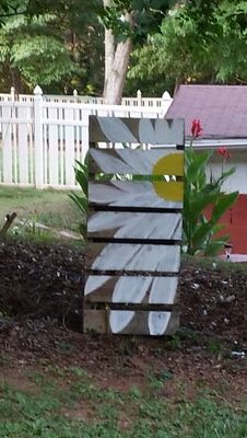 Soccerfield8's profile picture. 