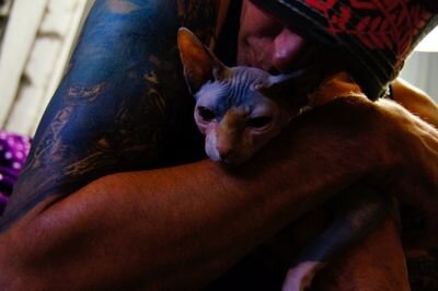 TreeTopp's profile picture. 