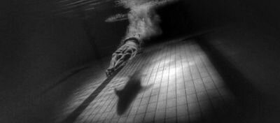 MisaNF's profile picture. 