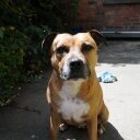 Bottlebrown's profile picture. Still alive