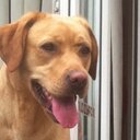 cameron salter - @cammysalter - Twitter