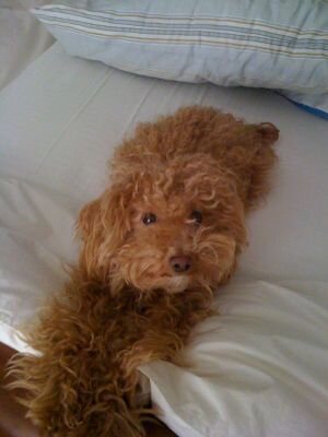 OSCARSSALON500's profile picture. 