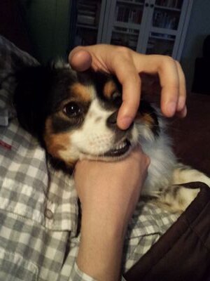 zscore84's profile picture. 