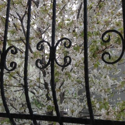 ayseyildiz8791's profile picture. Sakarya ilahiyat fakultesi
Din Kulturu ogretmeni 
Psikoloji