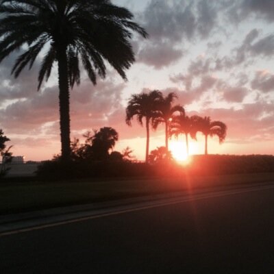 Follow for follow