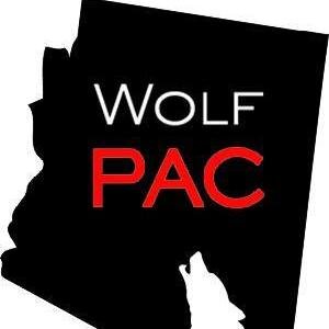 Get a 28th amendment to have free, clean and fair elections.