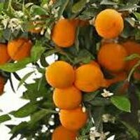 Grazeland Agri (@grazeland) 's Twitter Profile