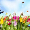 Janeth Chávez - @ChvezJaneth - Twitter