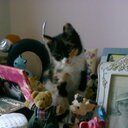 Anna Nigro - @AnnaNigro2 - Twitter