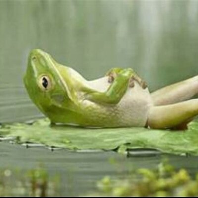 _amiescott's profile image