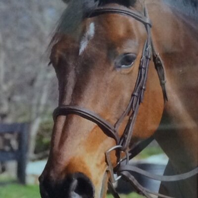 Horse crazy marketing communications professional. Dallas. Loves art. Friends. Good wine.