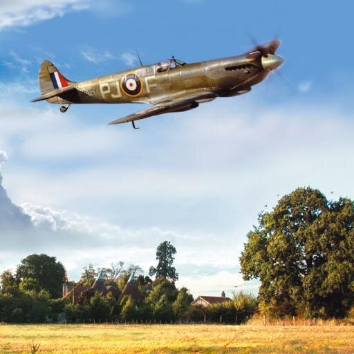 myfreegenie's profile picture. Traffic for your business