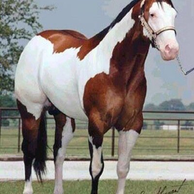 Juan1969Jose's profile picture. 